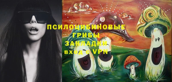 прущие грибы Липки