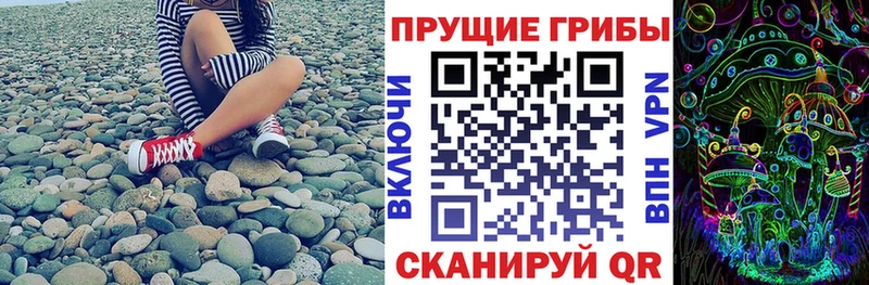 Галлюциногенные грибы Psilocybine cubensis  Купить где  Приволжск 